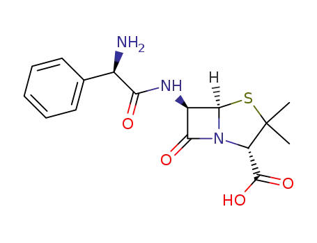 ampicillin